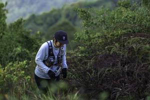 BIB: 
                            <button type="button" onclick="openModal(24763958)" class="btn btn-primary btn-sm float-right btn-popup" data-toggle="modal" data-target=".modal-high-quality">
                        <i class="fas fa-shopping-cart"></i> Add to Cart
                    </button>
                                            <button type="button" onclick="isThisMe(24763958, true)" class="btn btn-success btn-sm float-right btn-popup btn-isme hidden" data-toggle="tooltip" data-placement="bottom" title="นี่คือรูปของคุณใช่ไหม คลิกที่นี่เพื่อเอาเข้าอัลบั้ม">
                        <i class="fas fa-plus"></i> Add to album
                    </button>
                    <button type="button" onclick="isThisMe(24763958, false)" class="btn btn-warning btn-sm float-right btn-popup btn-isnotme hidden">
                        <i class="fas fa-ban"></i> Remove from album
                    </button>